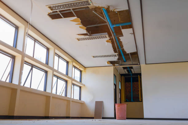 Best Mold removal after water damage  in Lemoore Station, CA