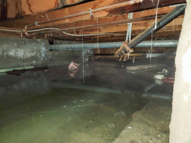 Water damage restoration insurance claims in CA