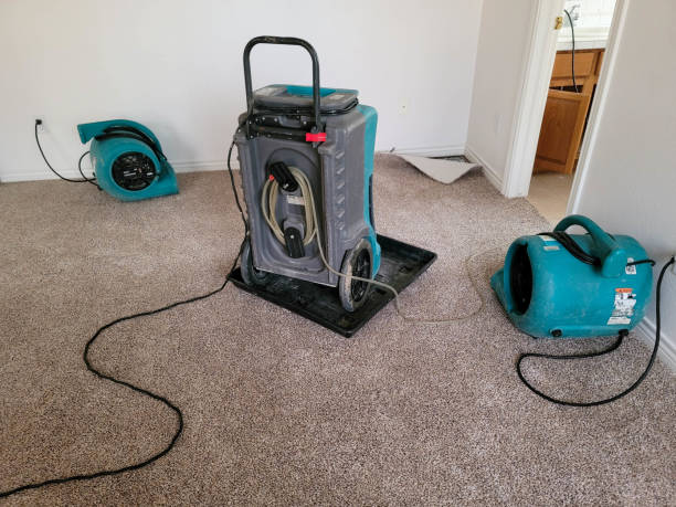 Best Flood restoration services  in Lemoore Station, CA