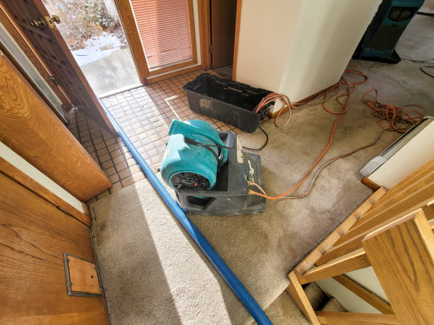 Best Water damage restoration process  in Lemoore Station, CA
