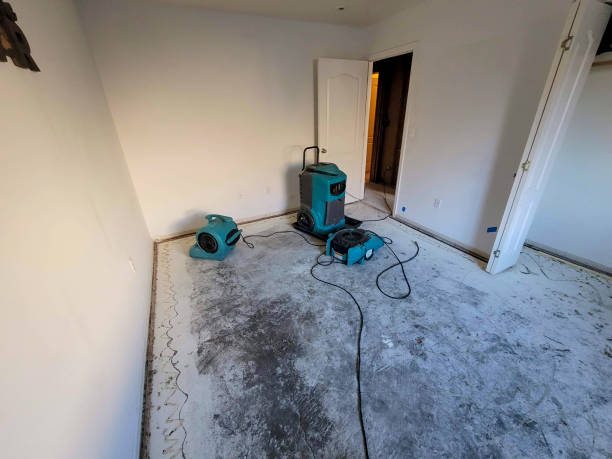 Best Water damage restoration company  in Lemoore Station, CA