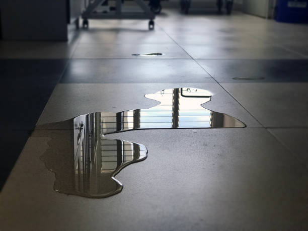 Best Water damage restoration near me  in Lemoore Station, CA