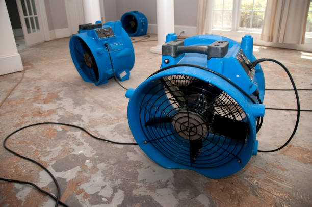 Best Flood damage cleanup  in Lemoore Station, CA