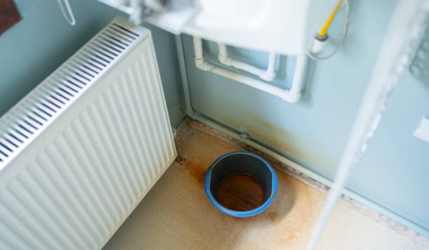 Best Basement water damage restoration  in Lemoore Station, CA