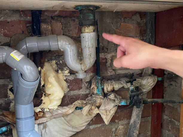 Best Water damage contractors near me  in Lemoore Station, CA