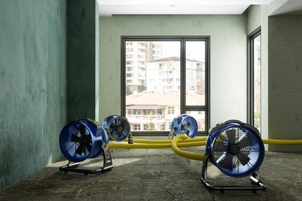 Best Local water damage restoration  in Lemoore Station, CA